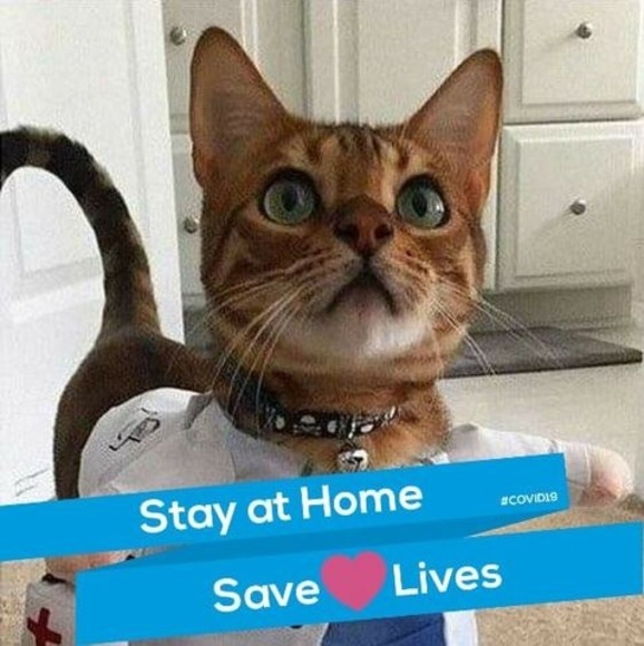 Meet your Posher, Maggie - Picture 1 of 1